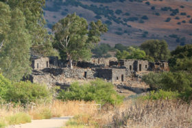 Golan : face à la politique incendiaire de Trump, la France doit agir !