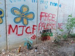 Palestine : Pas de retour à la “normale” mais un engagement pour la paix !