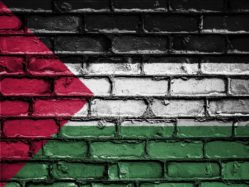 Palestine : expédition punitive à Jenine !